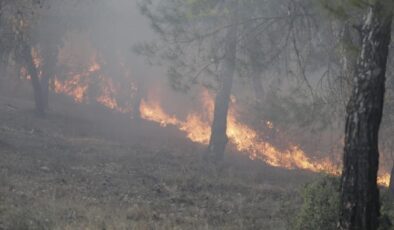 ‘Taşa çekiçle dahi vurmayın’