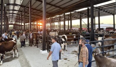 Hayvan pazarları kapatıldı