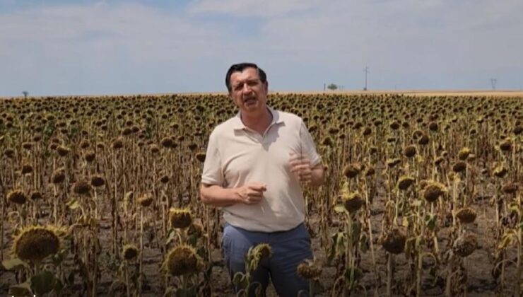 Hem eleştirdi hem destekledi