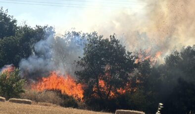 Lalapaşa yolundaki yangın kontrol altına alındı