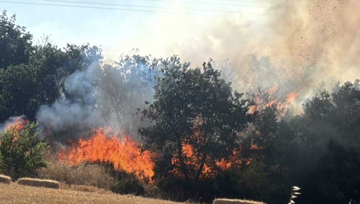 Lalapaşa yolundaki yangın kontrol altına alındı