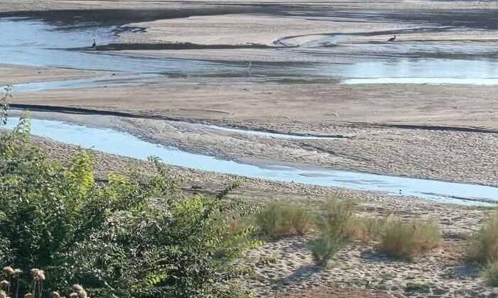 Meriç kurudu, çeltikler susuz kaldı