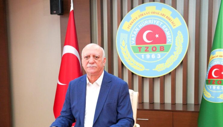‘Yangınların yüzde 88’i insan eliyle çıkıyor’