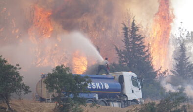 Yangın Gelibolu’ya sıçradı