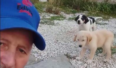 Temizlik görevlisinin yavru köpeklerle dostluğu