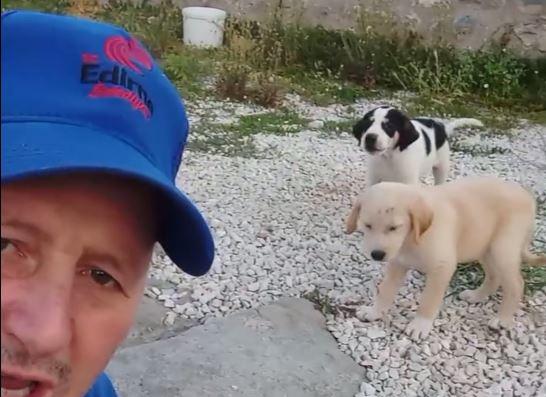 Temizlik görevlisinin yavru köpeklerle dostluğu