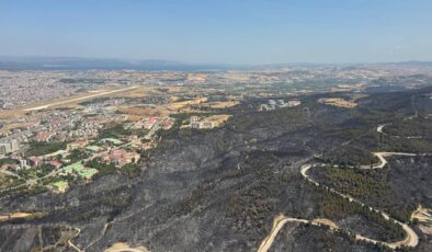 Çanakkale’de yangının acı bilançosu!
