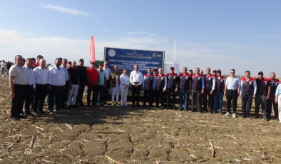 Vali Sezer ayçiçeği hasat etti