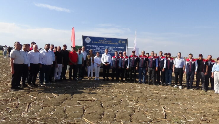 Vali Sezer ayçiçeği hasat etti