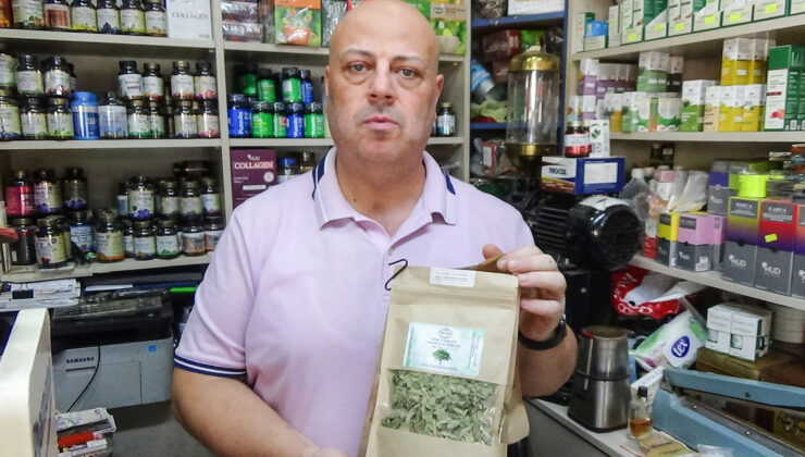 İşte o mucizevi bitki!
