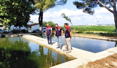 Balıklar su kaynaklarına salıncak