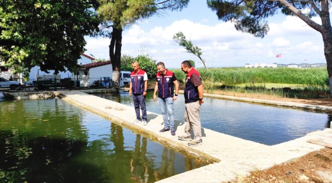 Balıklar su kaynaklarına salıncak