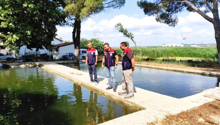 Balıklar su kaynaklarına salıncak