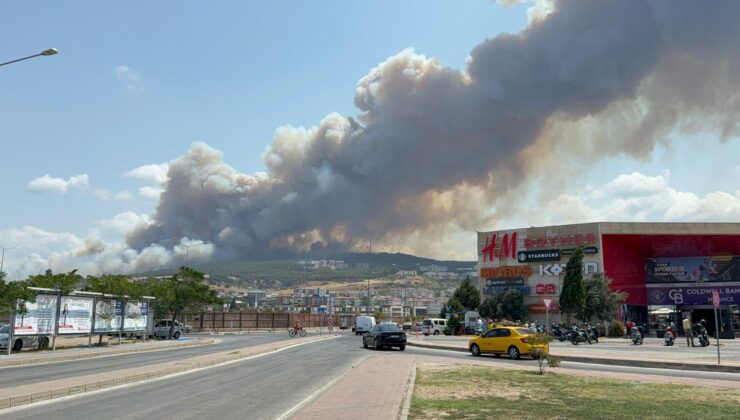 Çanakkale’de büyük yangın