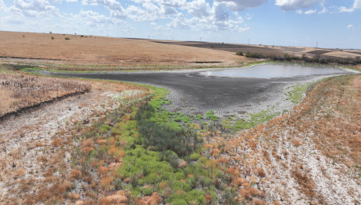 Demirhanlı Göleti kurudu