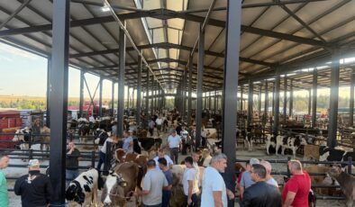 Havsa Canlı Hayvan Pazarı açıldı