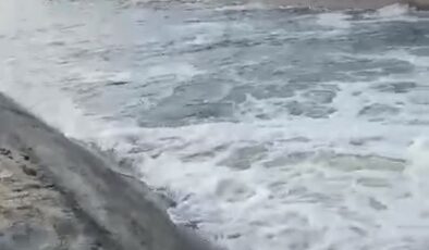 Çeltik tarlaları suya kavuştu