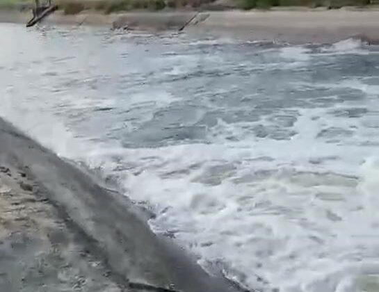Çeltik tarlaları suya kavuştu