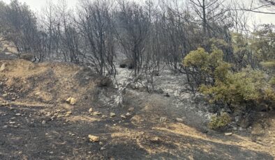 Keşan’da orman yangını!