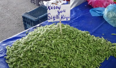 Tadımlık bamya
