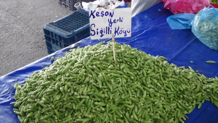 Tadımlık bamya