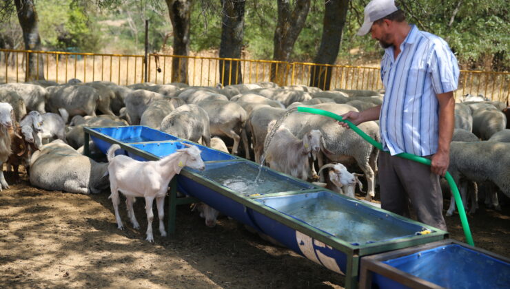 Meradan tankerle su taşıyorlar