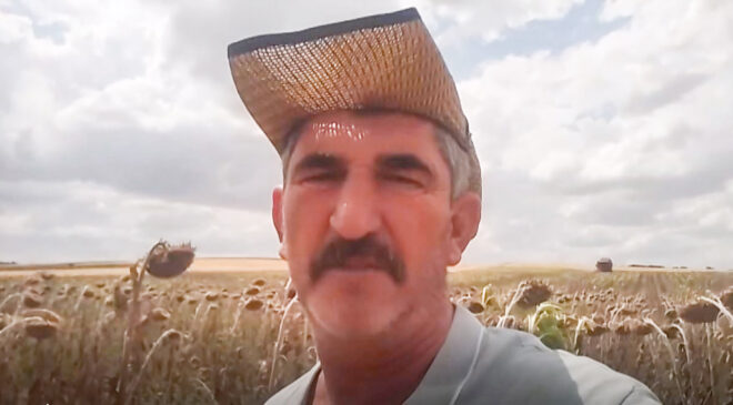 Elveda ayçiçeği