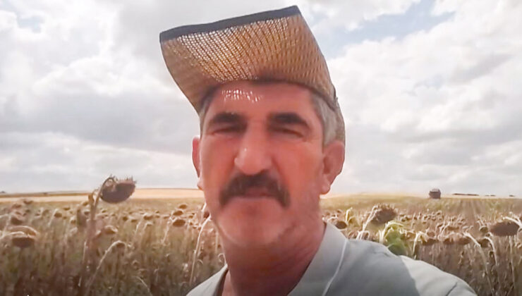 Elveda ayçiçeği