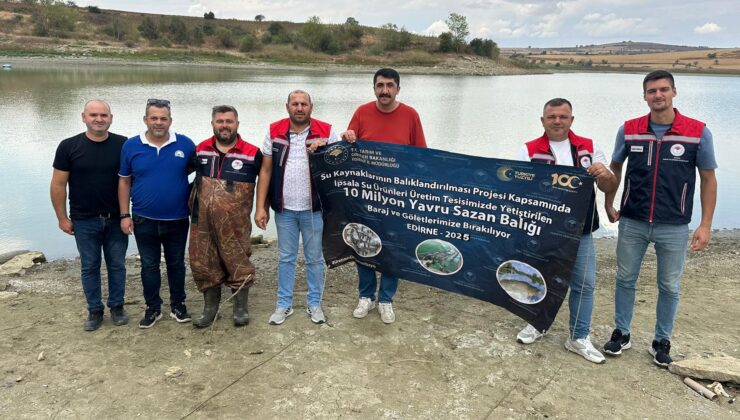 Yavru sazanlar göletlere bırakıldı