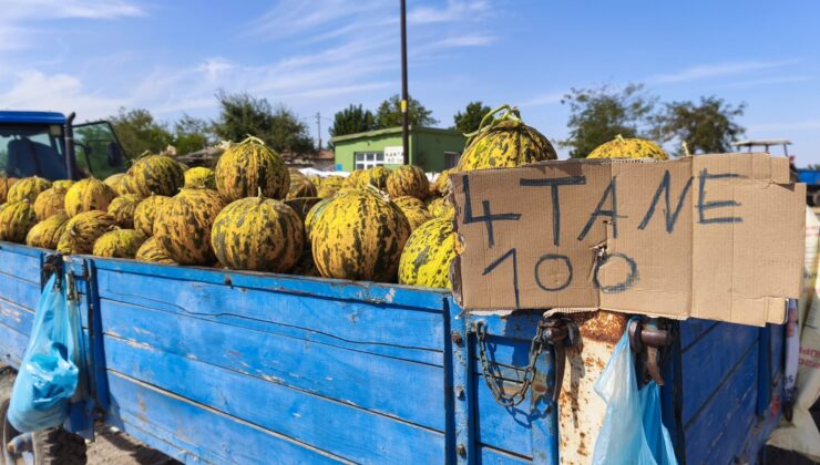 4 kavun 100 lira
