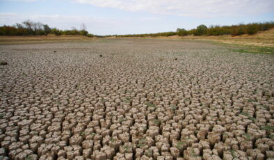 Şerbettar Göleti kurudu