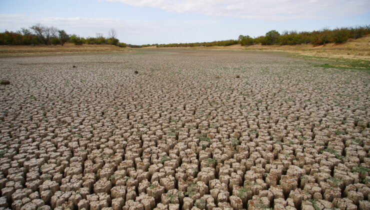 Şerbettar Göleti kurudu