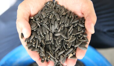 ‘Karaduman’ artık daha güçlü