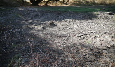 Musabeyli Göleti tamamen kurudu