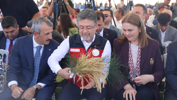 Çeltik fiyatını açıklamadı