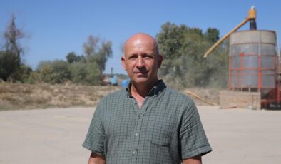 Ayçiçeğinde en kötü dönem