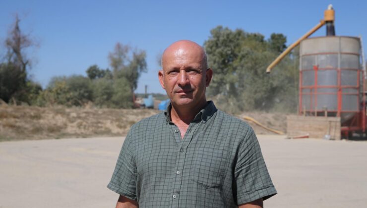 Ayçiçeğinde en kötü dönem