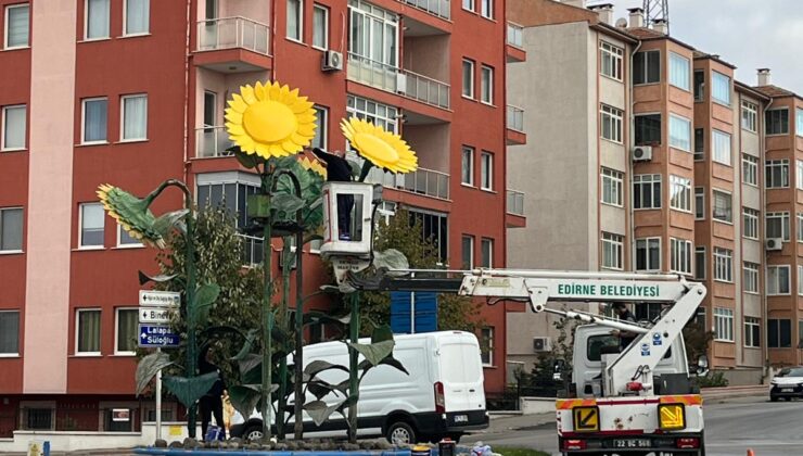 Ayçiçeği heykeli bakımda