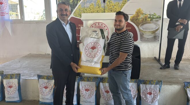 Çiftçilere kanola tohumu dağıtıldı