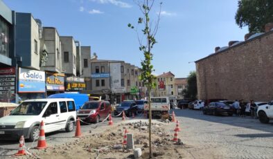 Çınar ağacı fidanı dikildi