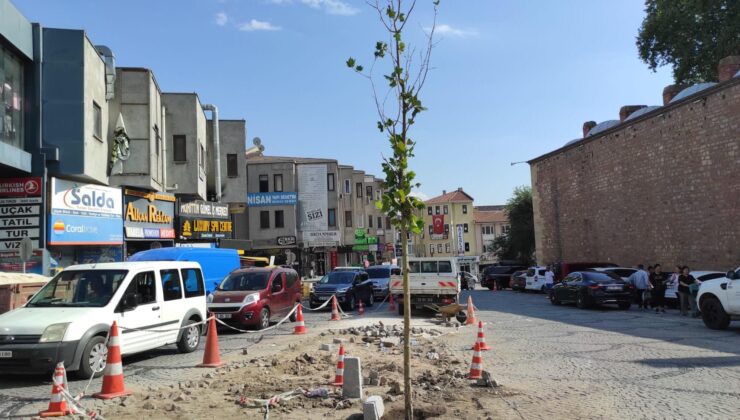 Çınar ağacı fidanı dikildi