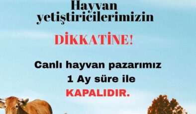 Havsa Hayvan Pazarı tekrar kapandı