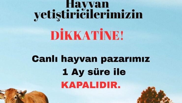Havsa Hayvan Pazarı tekrar kapandı