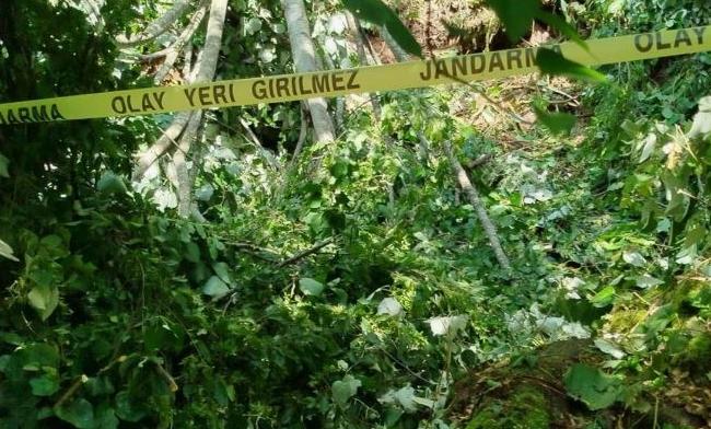 Kestiği ağacın altında kaldı