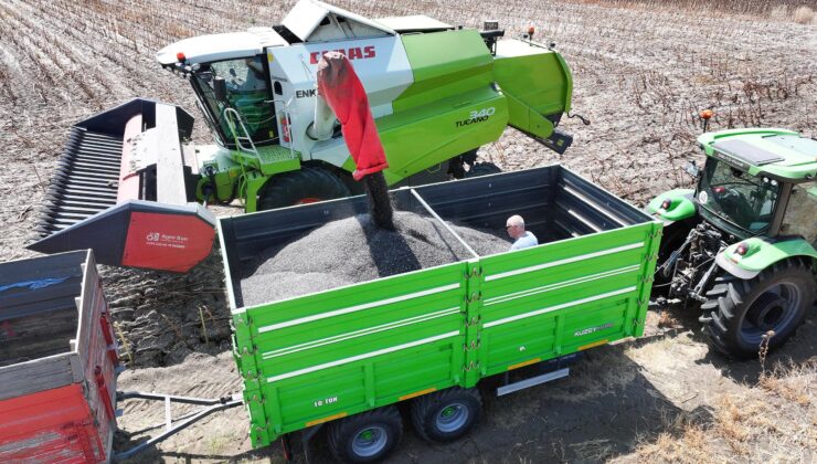 Ayçiçekte kesin fiyat belli oldu