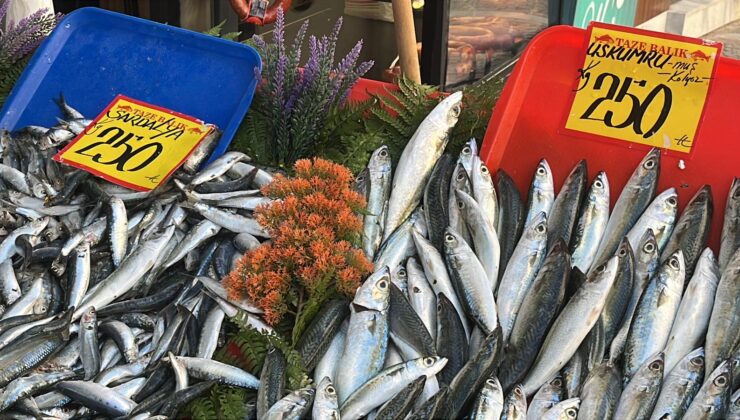 Uskumru 100 lira birden düştü