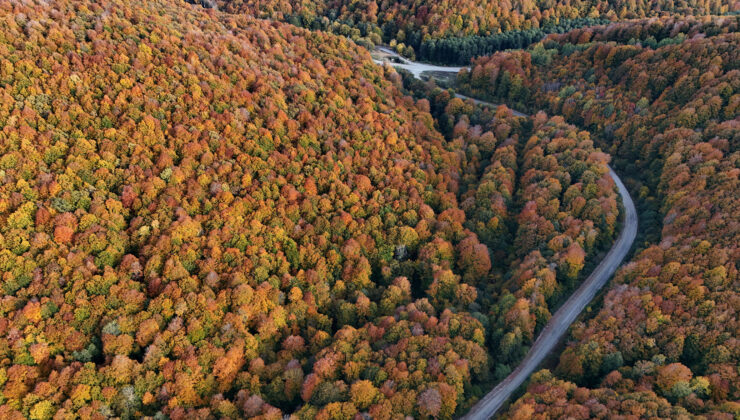 Longoz ve Istranca ormanlarında sonbahar