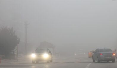 Edirne’de yoğun sis