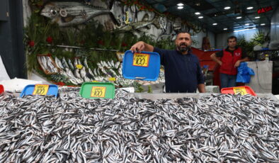 Hamsi 100 liraya düştü