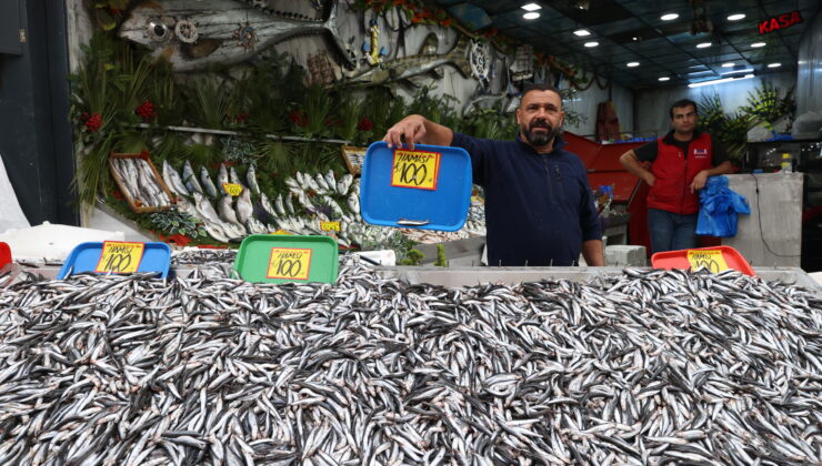 Hamsi 100 liraya düştü